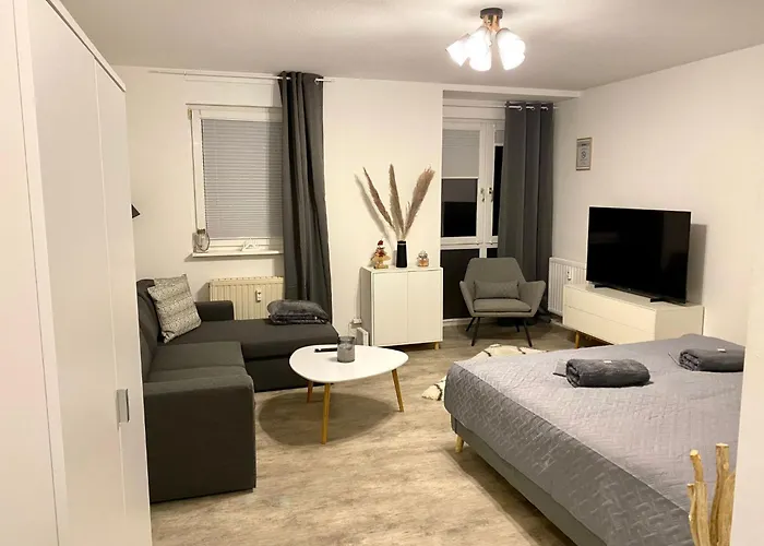 Lägenhet Moderne Und Gemuetliche In Free Wifi Und Netflix By Interhome Zwickau